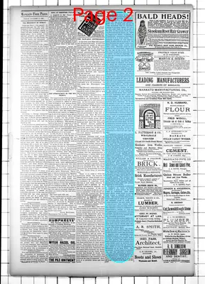 Page thumbnail for The Mankato Free Press