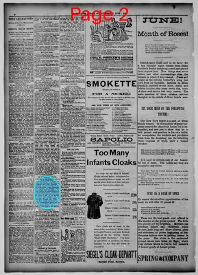 Page thumbnail for Grand Rapids Herald