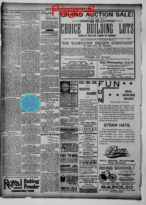 Page thumbnail for Grand Rapids Herald