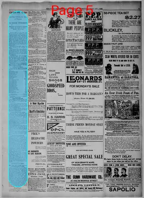 Page thumbnail for Grand Rapids Herald