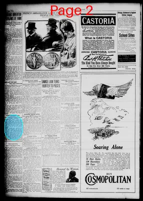 Page thumbnail for The Detroit Times