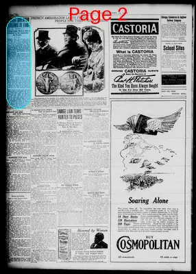 Page thumbnail for The Detroit Times