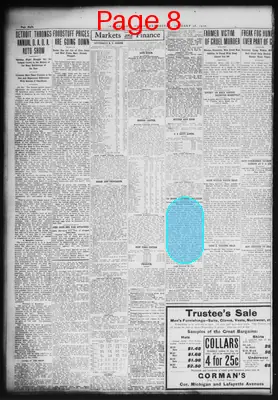 Page thumbnail for The Detroit Times
