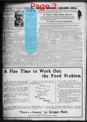 Page thumbnail for The Detroit Times