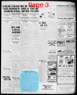 Page thumbnail for The Detroit Times