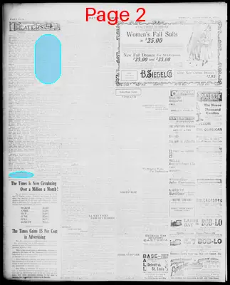 Page thumbnail for The Detroit Times