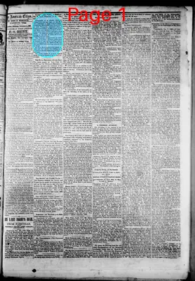 Page thumbnail for American Citizen