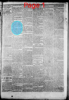 Page thumbnail for American Citizen