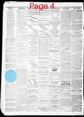 Page thumbnail for American Citizen