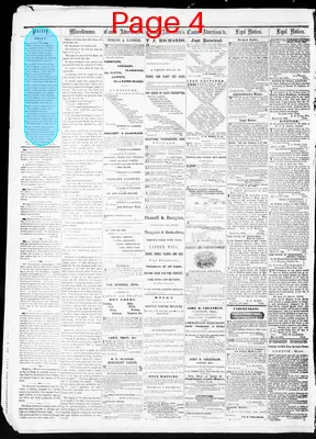 Page thumbnail for American Citizen