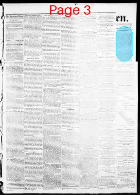 Page thumbnail for American Citizen