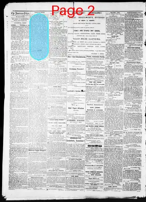 Page thumbnail for American Citizen