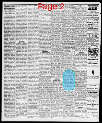 Page thumbnail for American Citizen