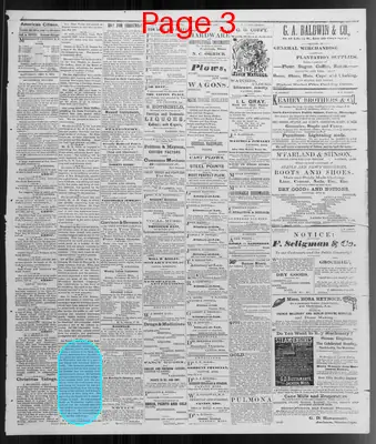 Page thumbnail for American Citizen