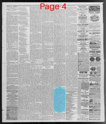 Page thumbnail for American Citizen