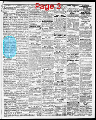 Page thumbnail for The Weekly Minnesotian