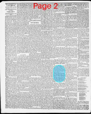 Page thumbnail for The Weekly Minnesotian