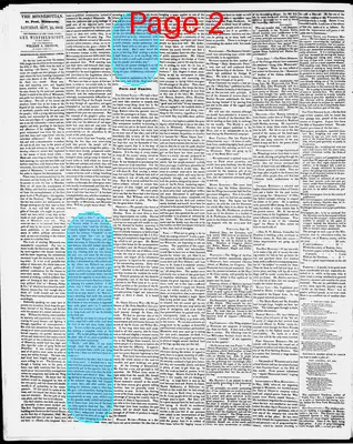 Page thumbnail for The Weekly Minnesotian