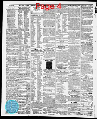 Page thumbnail for The Weekly Minnesotian