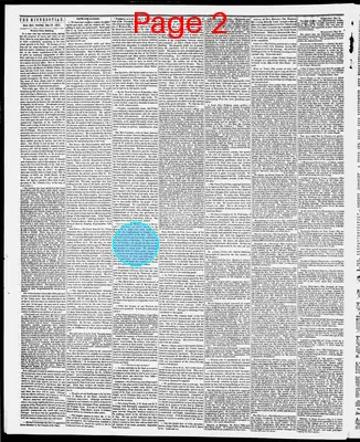Page thumbnail for The Weekly Minnesotian