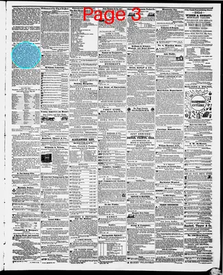 Page thumbnail for The Weekly Minnesotian