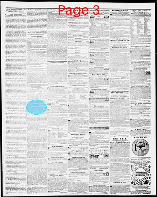 Page thumbnail for The Weekly Minnesotian