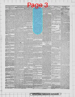 Page thumbnail for The Weekly Minnesotian