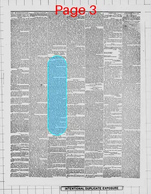 Page thumbnail for The Weekly Minnesotian