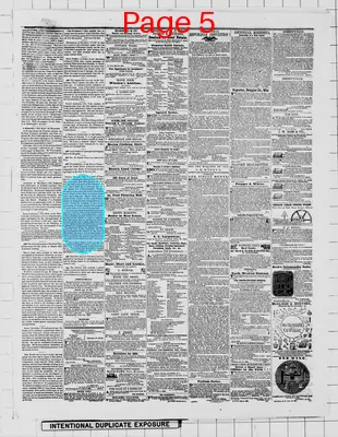 Page thumbnail for The Weekly Minnesotian