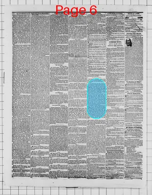 Page thumbnail for The Weekly Minnesotian
