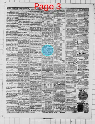 Page thumbnail for The Weekly Minnesotian