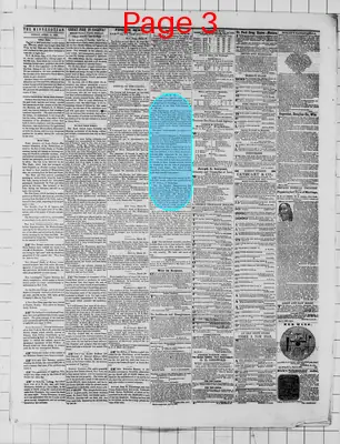 Page thumbnail for The Weekly Minnesotian