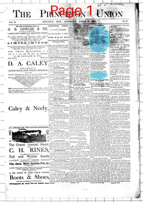 Page thumbnail for The Princeton Union