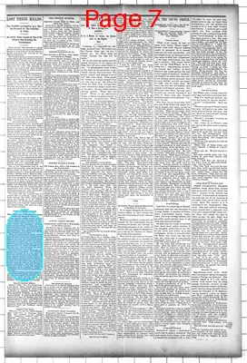 Page thumbnail for The Princeton Union