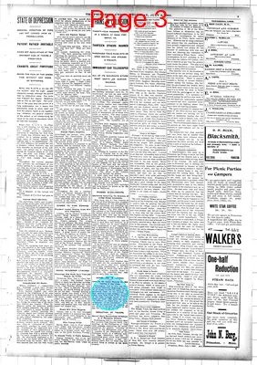 Page thumbnail for The Princeton Union