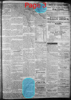Page thumbnail for The Southern Banner