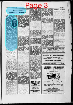 Page thumbnail for Twin City Observer