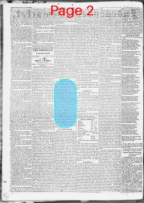 Page thumbnail for Independent Democrat