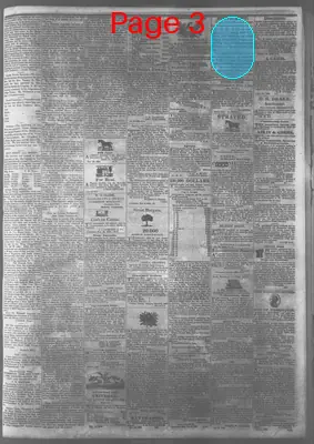 Page thumbnail for Southern Argus