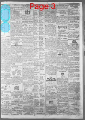 Page thumbnail for Southern Argus