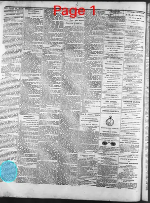 Page thumbnail for The Daily Clarion