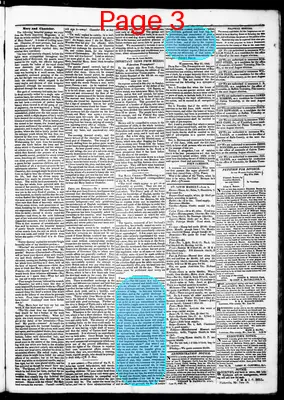 Page thumbnail for Salt River Journal