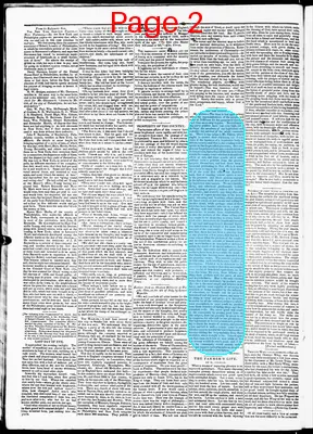 Page thumbnail for Salt River Journal