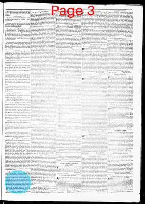 Page thumbnail for Salt River Journal