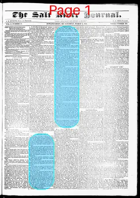 Page thumbnail for Salt River Journal