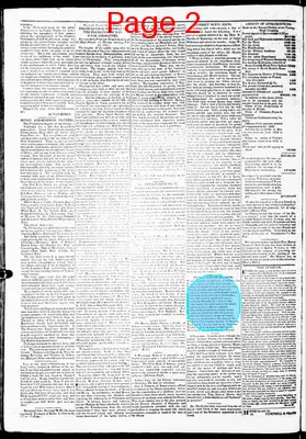 Page thumbnail for Salt River Journal