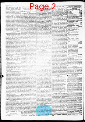 Page thumbnail for Salt River Journal