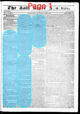 Page thumbnail for Salt River Journal