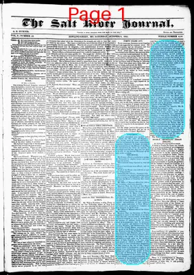 Page thumbnail for Salt River Journal