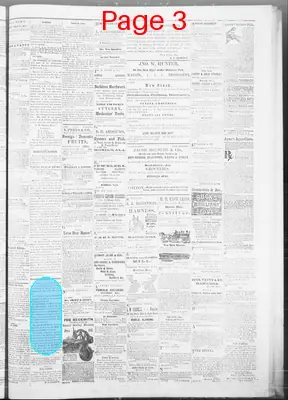 Page thumbnail for Macon Beacon